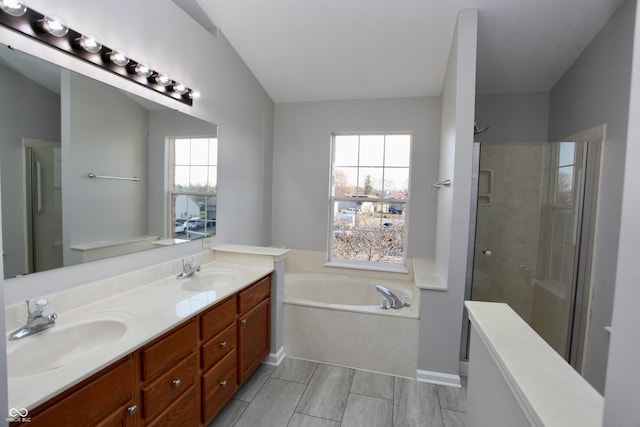 bathroom with vanity, a wealth of natural light, and independent shower and bath