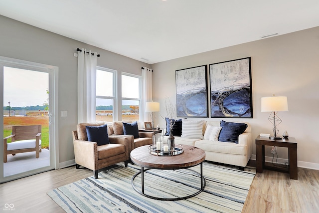 living room with hardwood / wood-style flooring