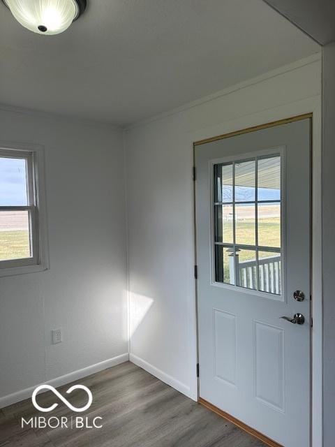 doorway to outside with hardwood / wood-style flooring