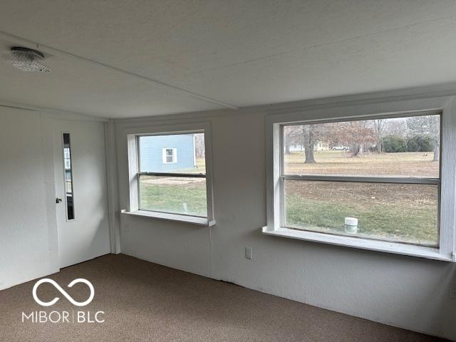 empty room featuring carpet and a wealth of natural light