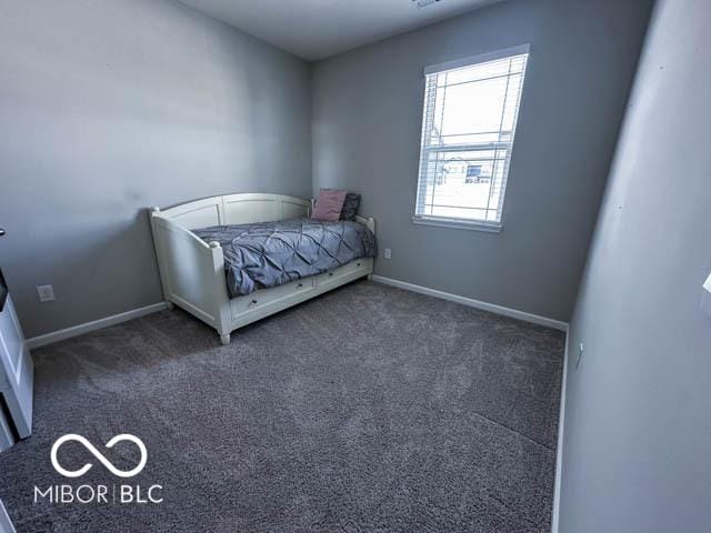 bedroom featuring dark carpet