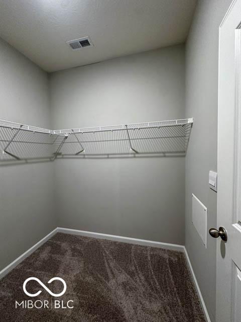 walk in closet with carpet