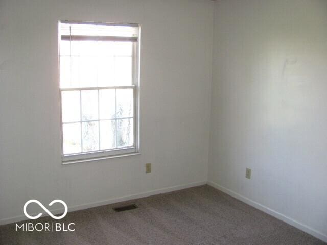 unfurnished room featuring carpet floors