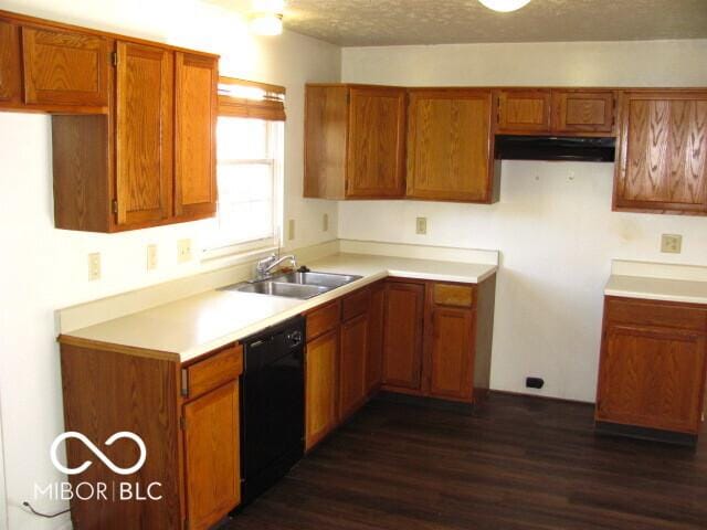 kitchen with a textured ceiling, sink, dark hardwood / wood-style floors, and black dishwasher