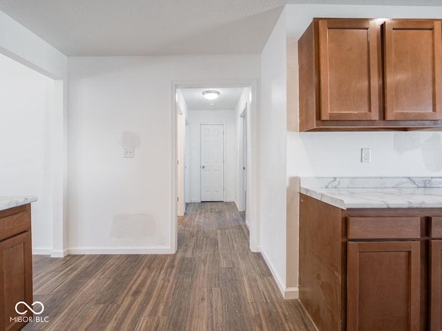 kitchen featuring dark wood-type flooring