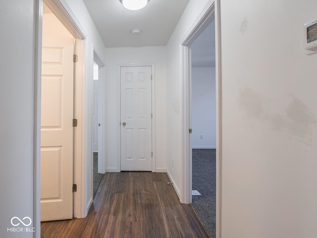 hall featuring dark wood-type flooring