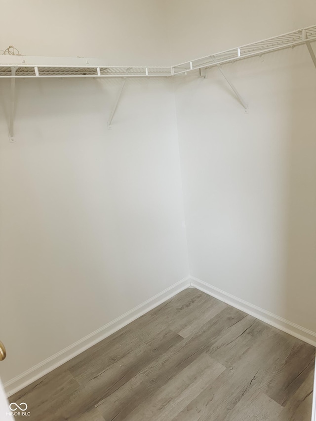 walk in closet featuring wood-type flooring