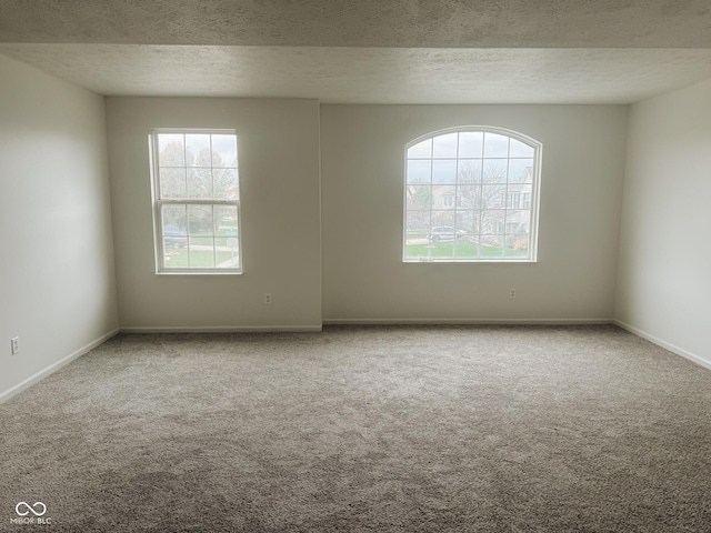 empty room with plenty of natural light, light carpet, and a textured ceiling