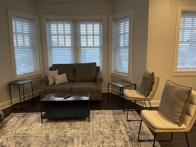 living room with hardwood / wood-style flooring