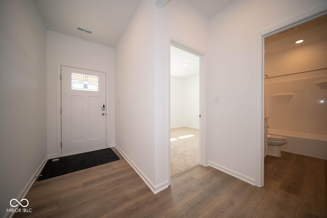 foyer entrance featuring dark hardwood / wood-style flooring