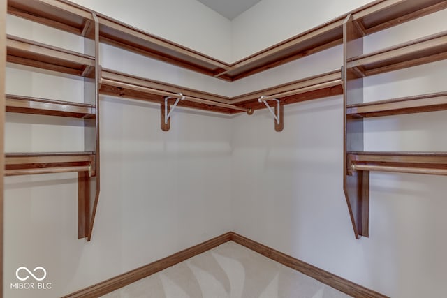 spacious closet with carpet floors