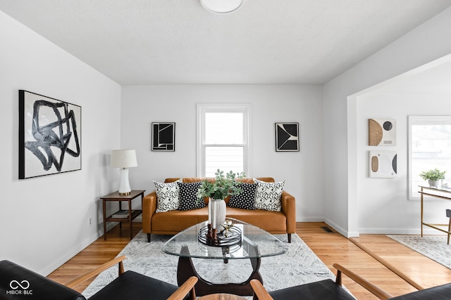 living room featuring hardwood / wood-style flooring