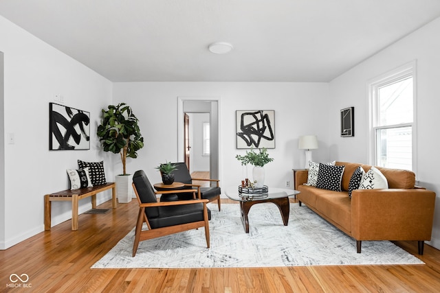 living room with wood-type flooring