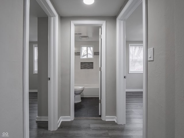 hallway featuring dark hardwood / wood-style floors and a wealth of natural light