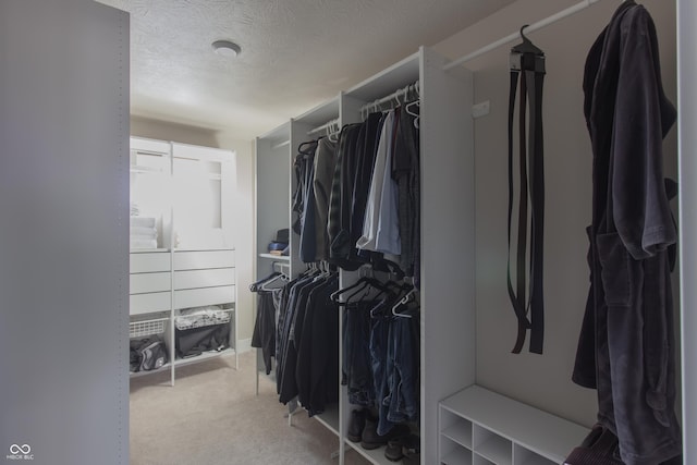 spacious closet featuring carpet flooring