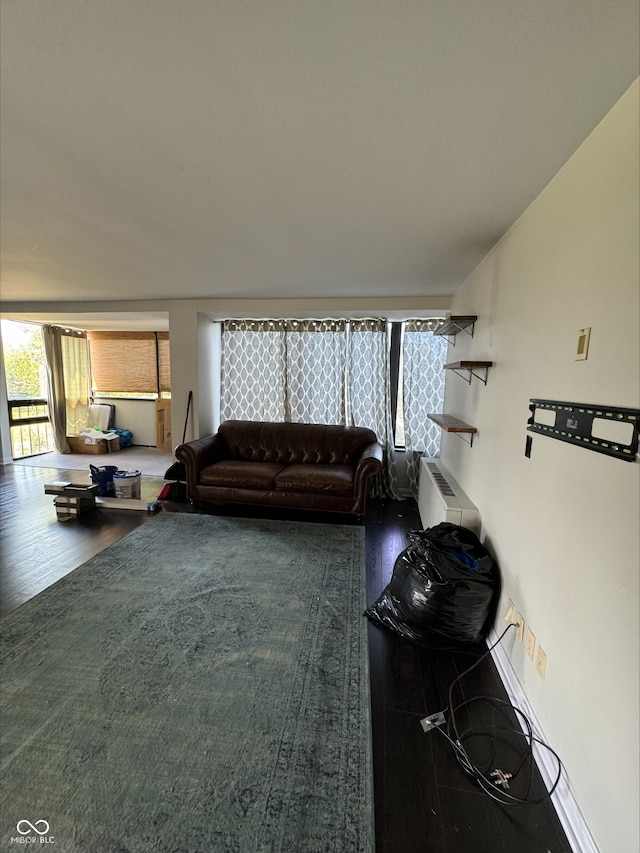 living room with wood-type flooring