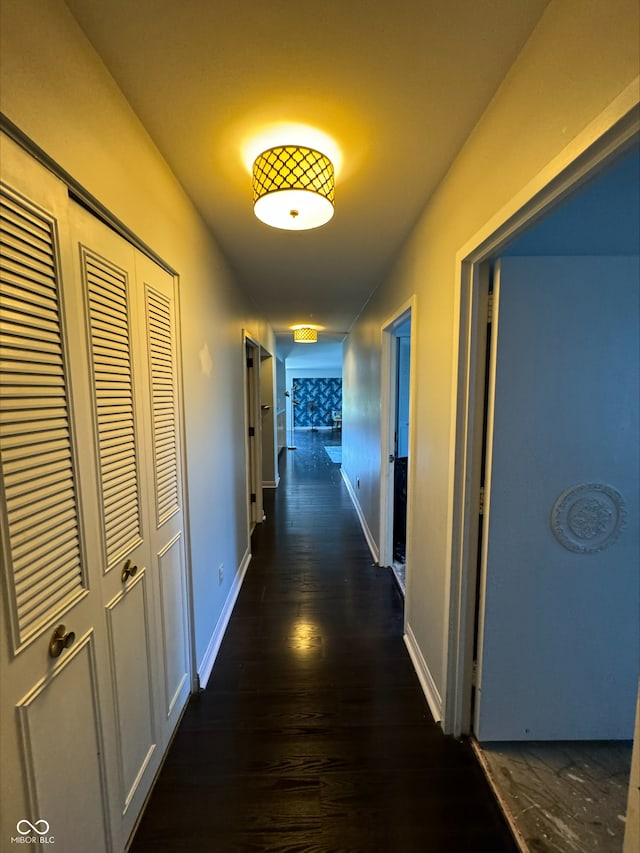 hall featuring dark hardwood / wood-style floors