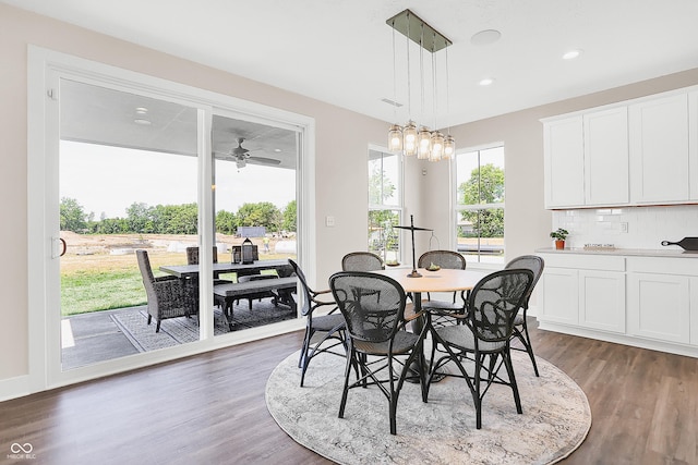 dining space featuring dark hardwood / wood-style flooring and ceiling fan with notable chandelier