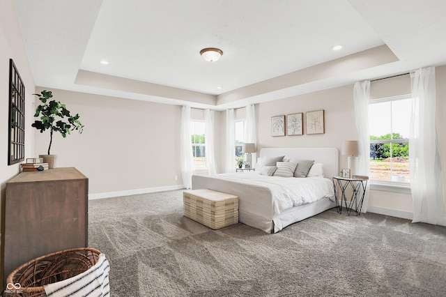 bedroom featuring carpet flooring and a raised ceiling