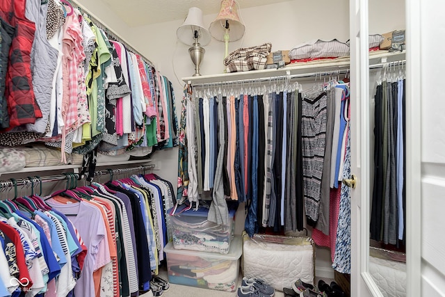 view of spacious closet