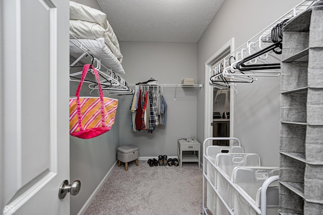 walk in closet with carpet flooring