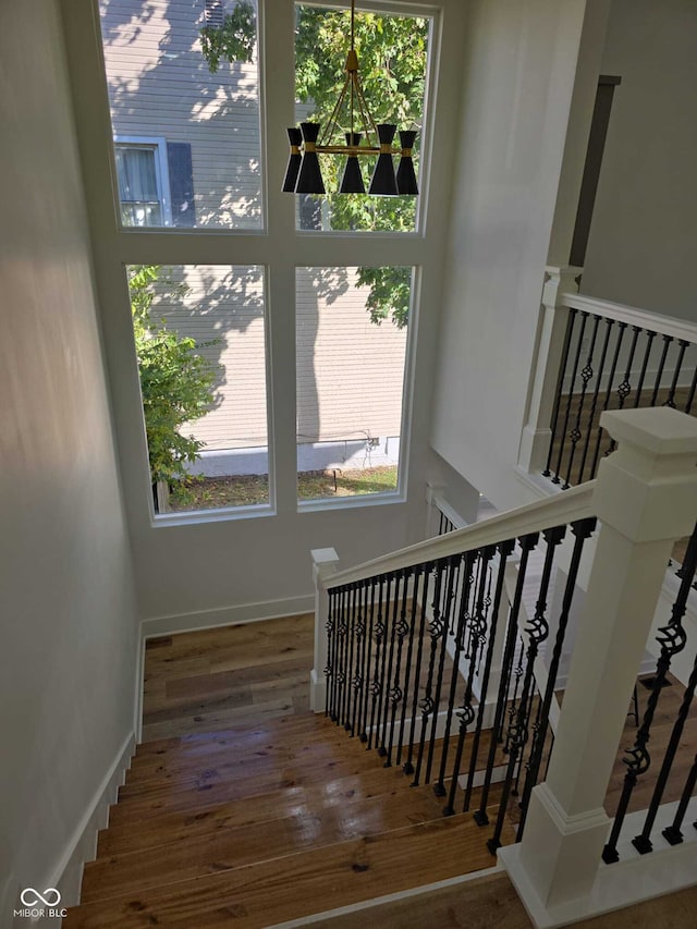 stairs with hardwood / wood-style floors