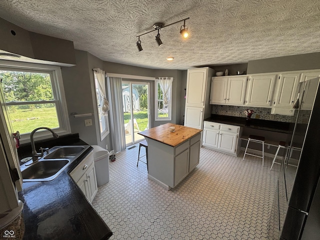 11720 Grenadier Ln, Indianapolis, IN 46229 - kitchen featuring butcher block countertops, a sink, healthy amount of natural light, white cabinetry, and a textured ceiling