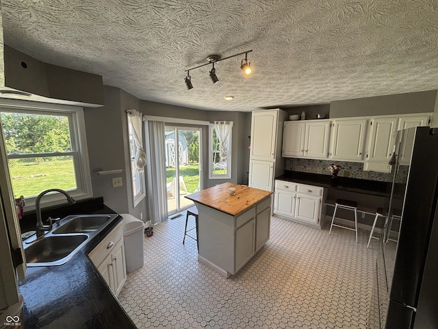 11720 Grenadier Ln, Indianapolis, IN 46229 - kitchen with wooden counters, freestanding refrigerator, a sink, healthy amount of natural light, and a textured ceiling