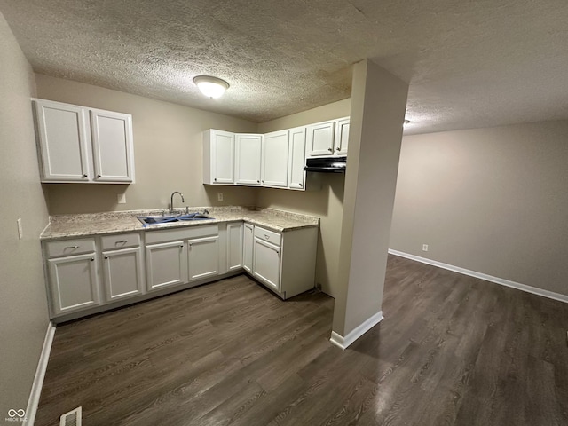 kitchen with white cabinetry, sink, and dark wood-type flooring