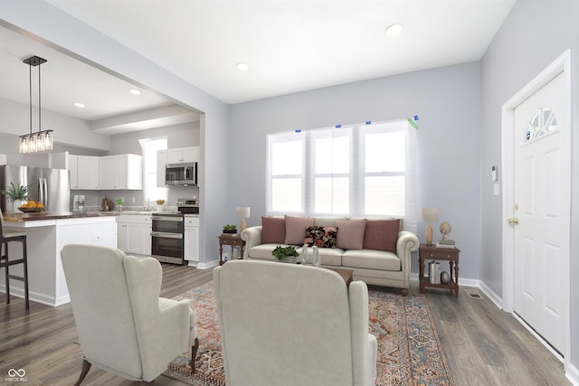 living room with sink and dark wood-type flooring