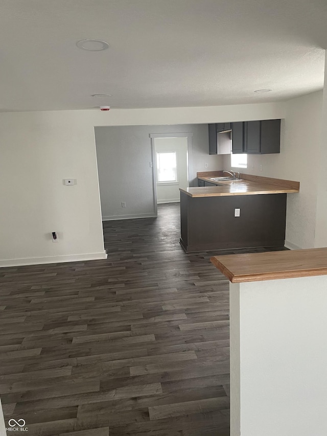 kitchen with dark hardwood / wood-style floors, kitchen peninsula, and sink