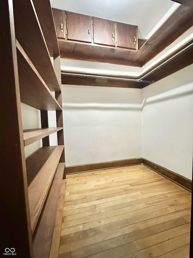 spacious closet with hardwood / wood-style floors