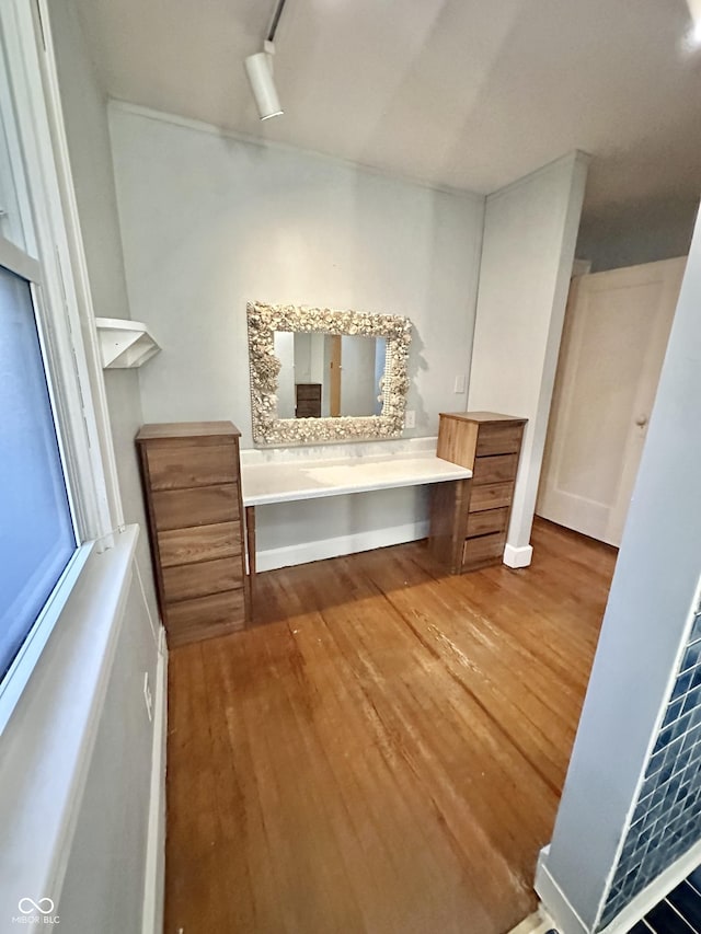 bathroom featuring vanity, track lighting, and wood finished floors