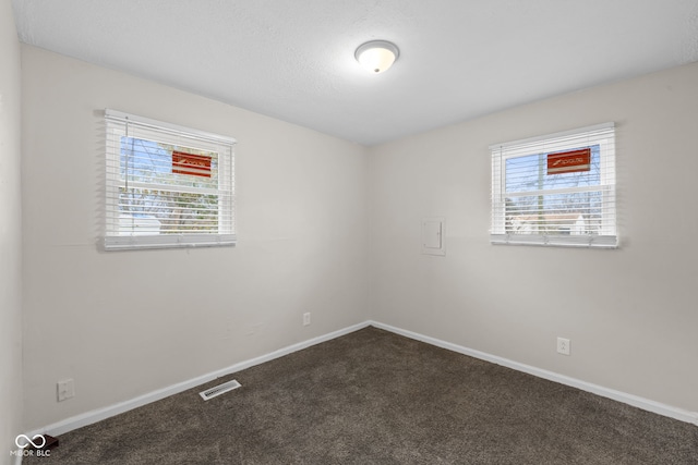 carpeted empty room with plenty of natural light