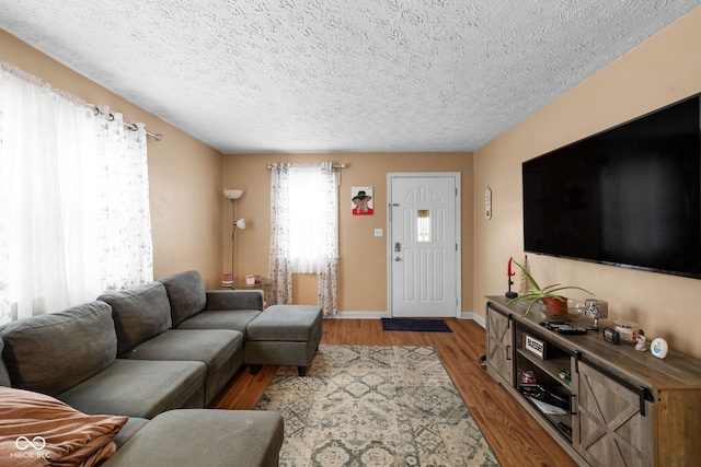 living room with a textured ceiling and light hardwood / wood-style flooring