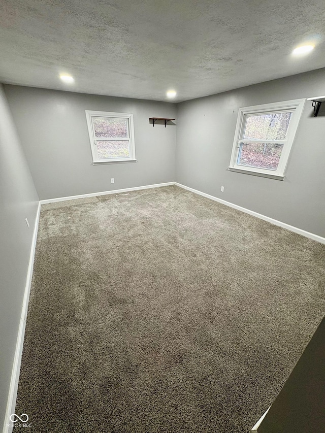 interior space featuring carpet flooring and a textured ceiling