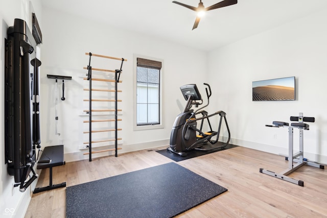 workout room featuring hardwood / wood-style flooring and ceiling fan