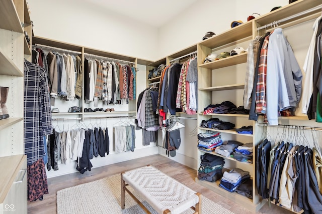 spacious closet with hardwood / wood-style flooring