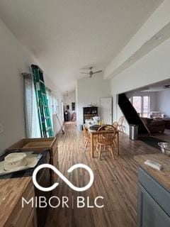 living room featuring vaulted ceiling, ceiling fan, and dark wood-type flooring