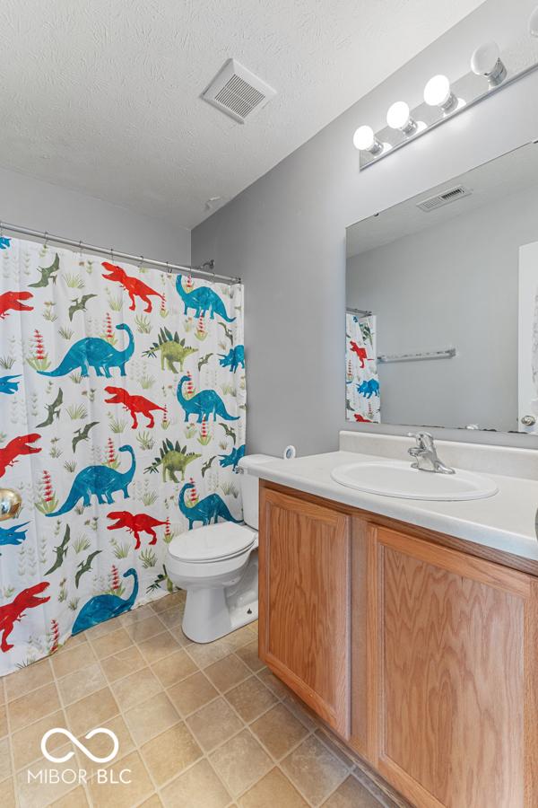 bathroom with vanity, a textured ceiling, and toilet