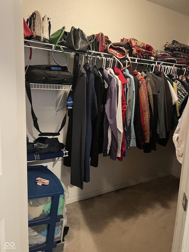 walk in closet with carpet flooring