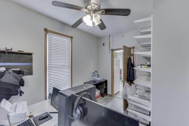 office featuring a textured ceiling, light hardwood / wood-style flooring, and ceiling fan