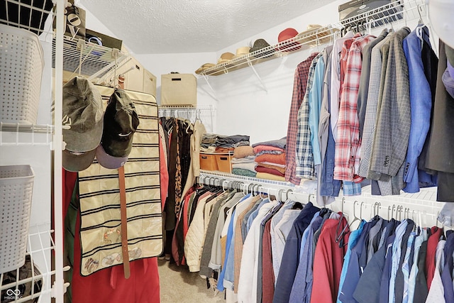 spacious closet with carpet