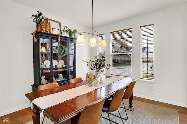 dining space featuring dark hardwood / wood-style flooring