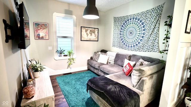 living room featuring wood finished floors