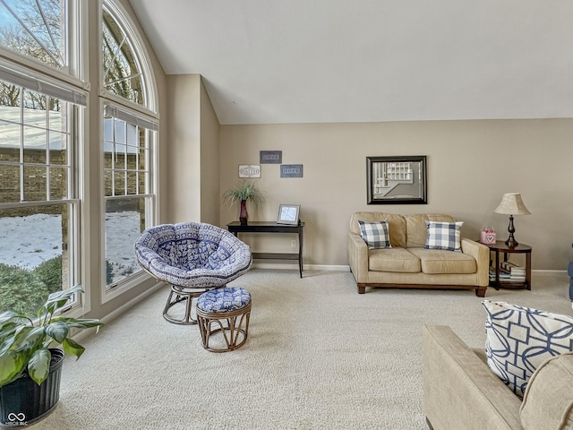 living room featuring carpet floors and high vaulted ceiling