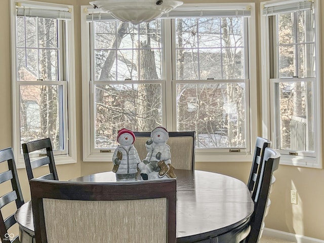 dining area with plenty of natural light