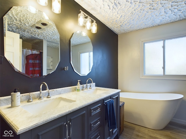 bathroom featuring a washtub, wood-type flooring, and vanity