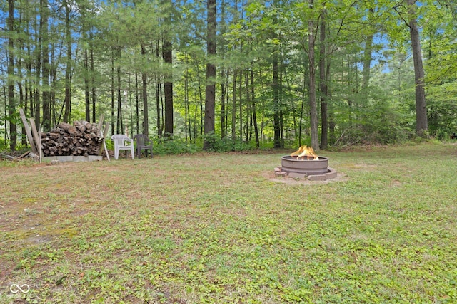 7701 Center Lake Rd, Nineveh, IN 46164 - view of grassy yard with an outdoor fire pit