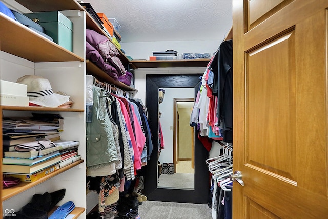 spacious closet with carpet floors